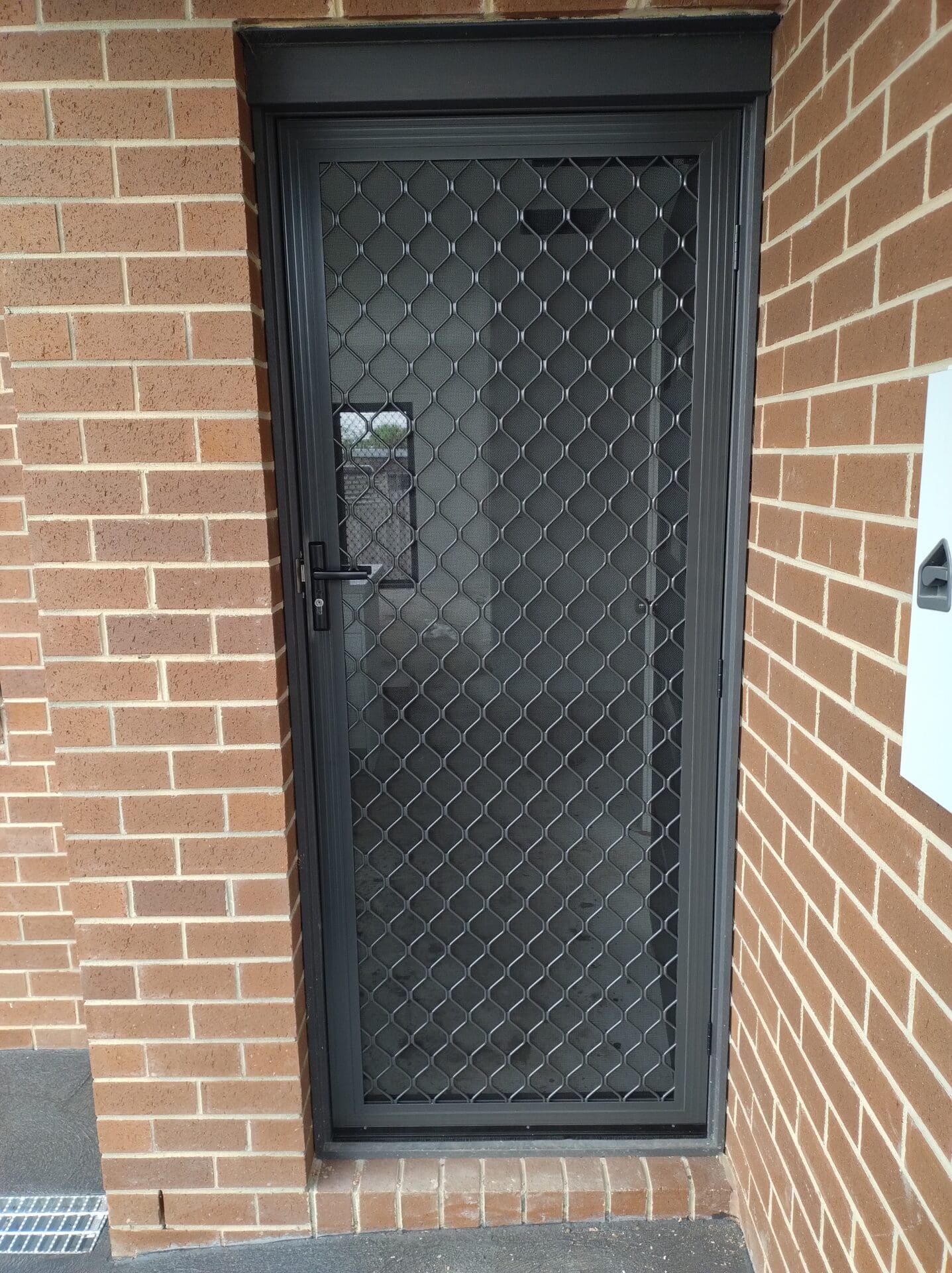 Entry security door